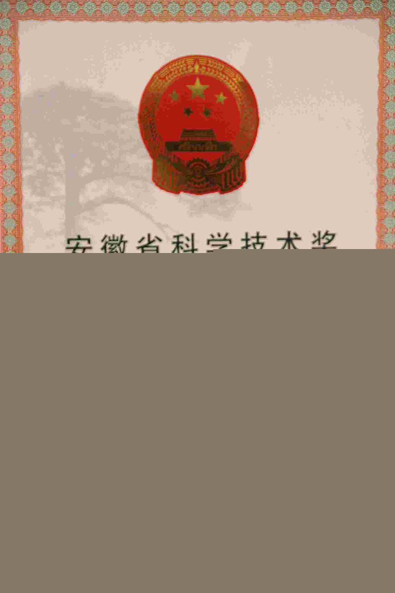 榮譽(yù)證書(shū)